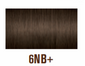 6NB+.png