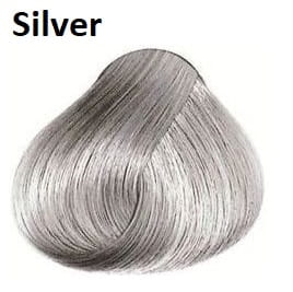 silver.jpeg