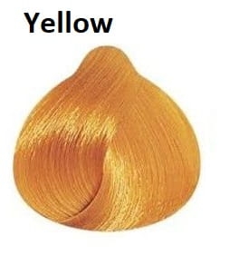 yellow.jpeg