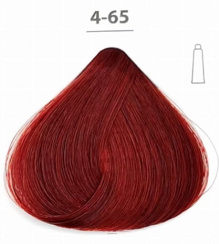 Ducastel Subtil creme Farba do włosów 4-65 kasztan czerwono-mahoniowy 60ml