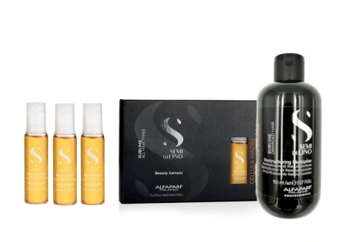 ALFAPARF SUBLIME - Cellula Madre ZESTAW do odbudowy Multiplikator 150ml + ampułki 3x13ml Beauty Genesis