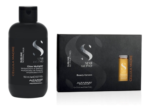 ALFAPARF SUBLIME - Cellula Madre ZESTAW nabłyszczający Multiplikator 150ml + ampułki 12x13ml Beauty Genesis