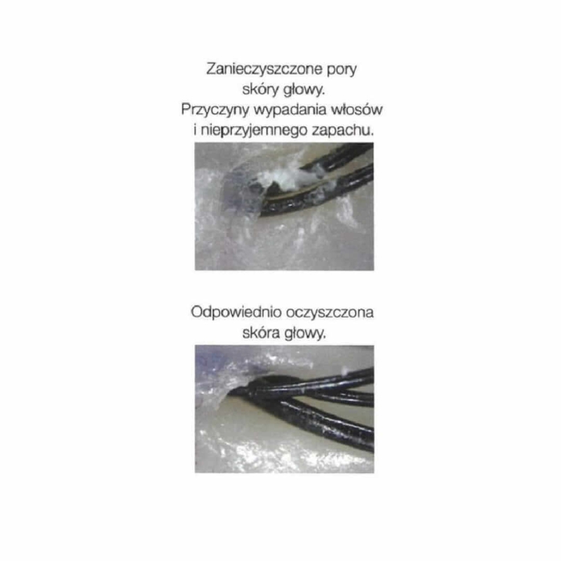 Fox scalp champagne Szczotka do włosów i skóry głowy.jpg