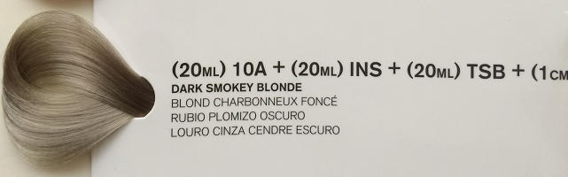 10a ins tsb.png